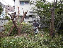 庭木伐採・草刈りを承ります。/ 西東京市